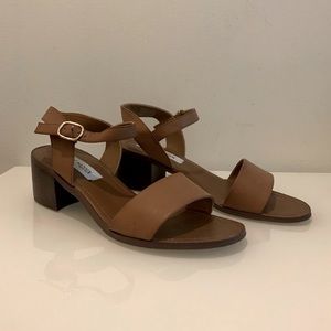 Steve Madden Brown Leather Sandals